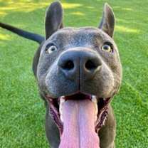 Thumbnail photo of Lightning #3