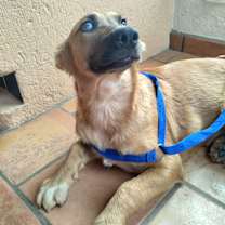 Thumbnail photo of Stevie Nicks #1