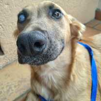 Thumbnail photo of Stevie Nicks #2