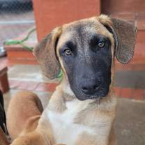 Thumbnail photo of Jim Morrison #1