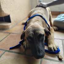 Thumbnail photo of Jim Morrison #2