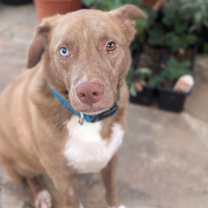 Thumbnail photo of Tiberius Riker #2