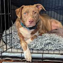 Thumbnail photo of Tiberius Riker #3