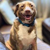 Thumbnail photo of Tiberius Riker #1