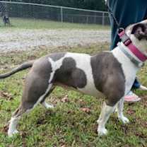 Thumbnail photo of Ducky #3