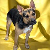 Thumbnail photo of Smoke #1