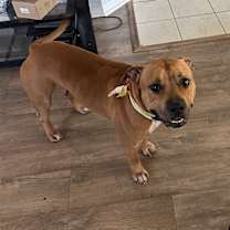 Thumbnail photo of sean #2