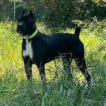 Thumbnail photo of Jamie #1