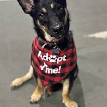 Thumbnail photo of Sammy #1