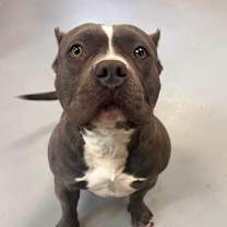 Thumbnail photo of Captain #1