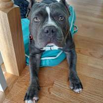 Thumbnail photo of Captain #3