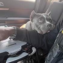 Thumbnail photo of Captain #4