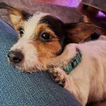 Thumbnail photo of Sheldon #2