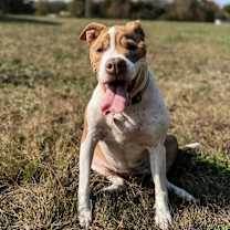 Thumbnail photo of NELLIE! #1
