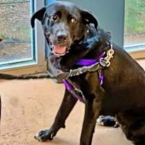 Thumbnail photo of Bama #2