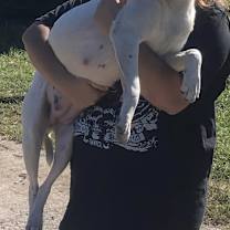 Thumbnail photo of Halo #3