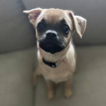 Thumbnail photo of Spice #1