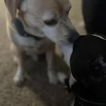 Thumbnail photo of Victor #2