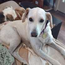 Thumbnail photo of Boone #1