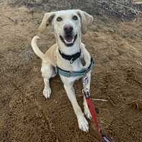 Thumbnail photo of Dorothy #2