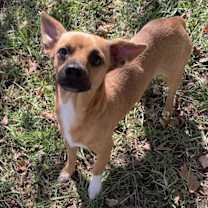 Thumbnail photo of Butler #1