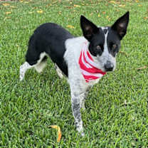 Thumbnail photo of Nolan #1