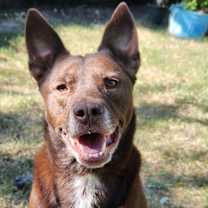 Thumbnail photo of Mika #1