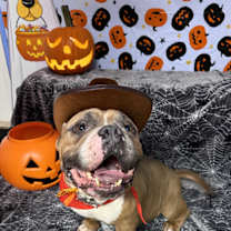Thumbnail photo of Curtis #1