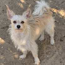 Thumbnail photo of Addie #4