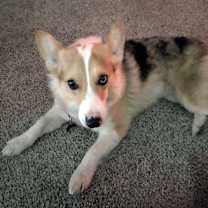 Thumbnail photo of Erin #3