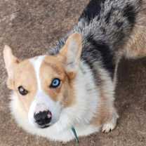 Thumbnail photo of Erin #4