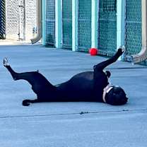 Thumbnail photo of Moon #2