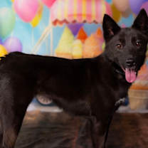 Thumbnail photo of Magie #3