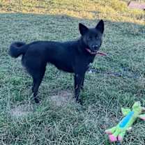 Thumbnail photo of Magie #4