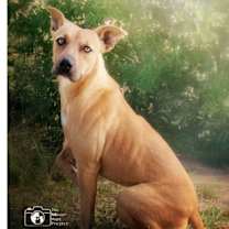 Thumbnail photo of Cindy #1