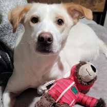 Thumbnail photo of Cordelia #1