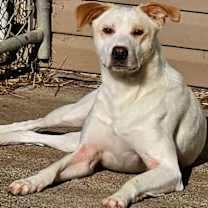 Thumbnail photo of Cordelia #3