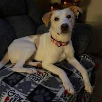 Thumbnail photo of Cordelia #4