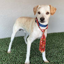 Thumbnail photo of Marty #2