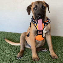 Thumbnail photo of Barry #3