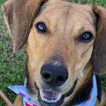 Thumbnail photo of Riot #4