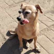 Thumbnail photo of Ernie #3