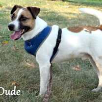 Thumbnail photo of Dude #2