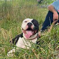 Thumbnail photo of Mara #4