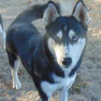 Thumbnail photo of Myra #1