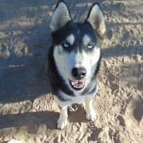 Thumbnail photo of Myra #2