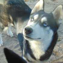 Thumbnail photo of Myra #3