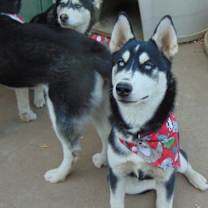 Thumbnail photo of Myra #4