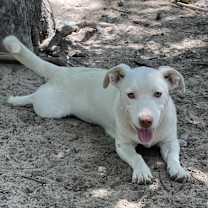 Thumbnail photo of Misty #1