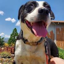 Thumbnail photo of Mabel #3